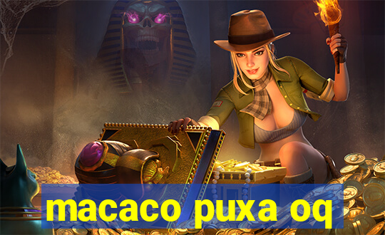 macaco puxa oq